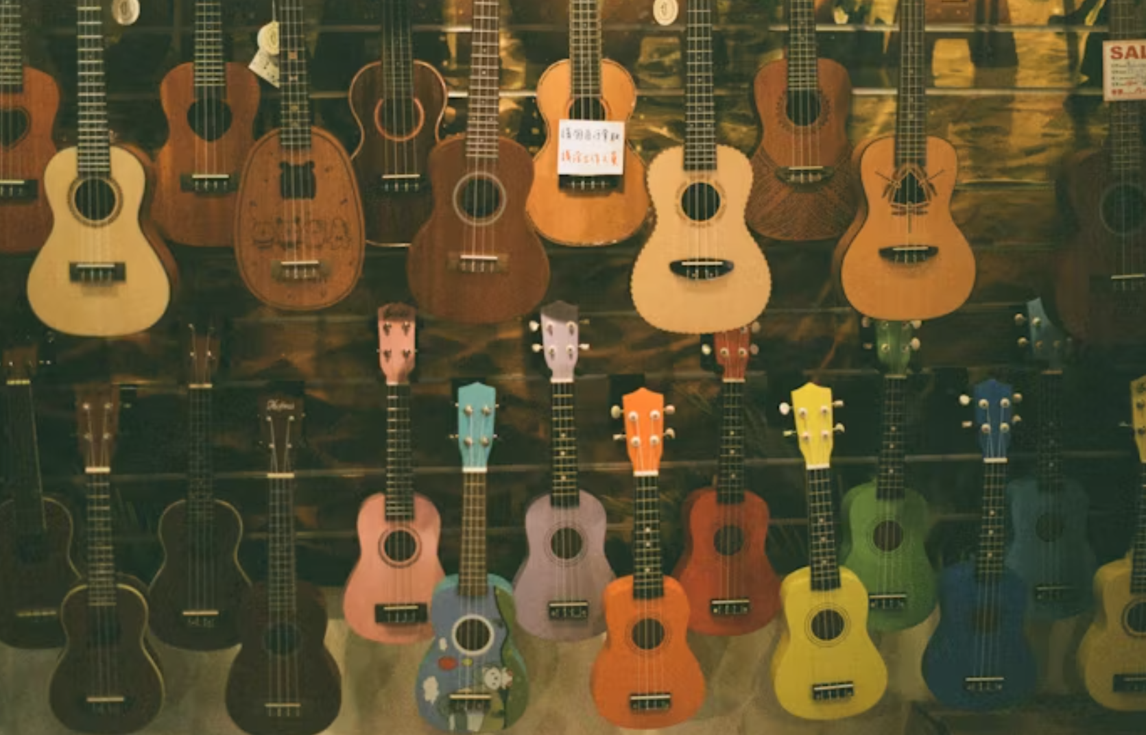 Top 10 Acoustic Guitars for Beginners (2024 Edition)